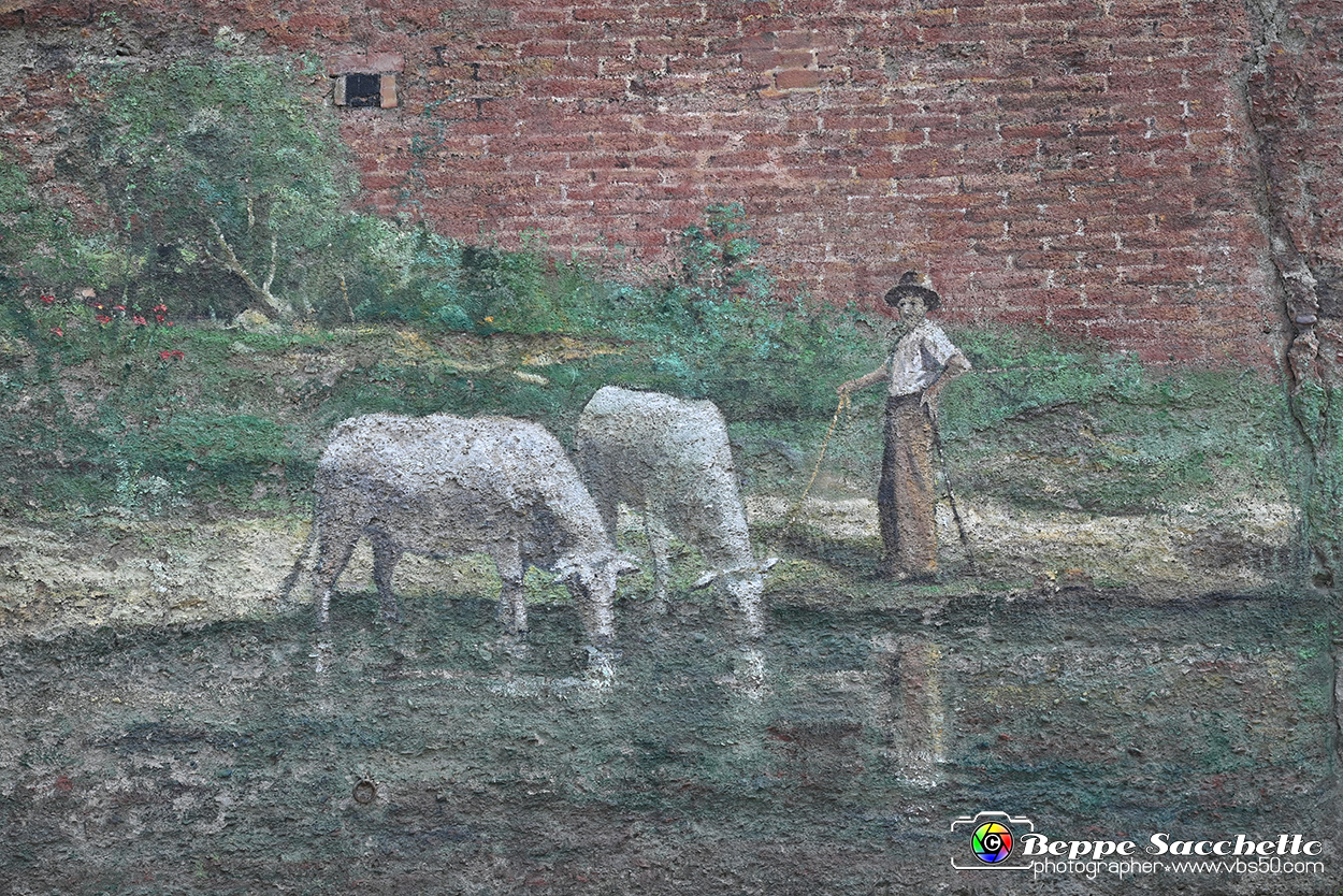 VBS_3745 - Fontanile (Asti) - Murales di Luigi Amerio.jpg